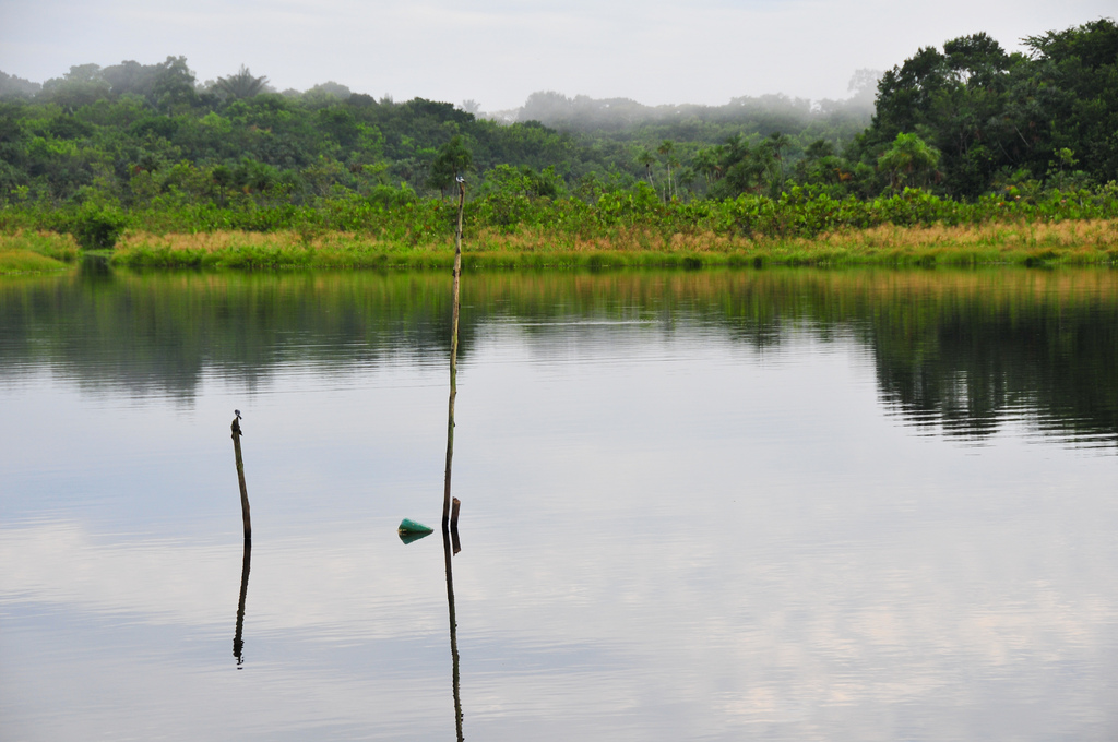 Yasuní National Park