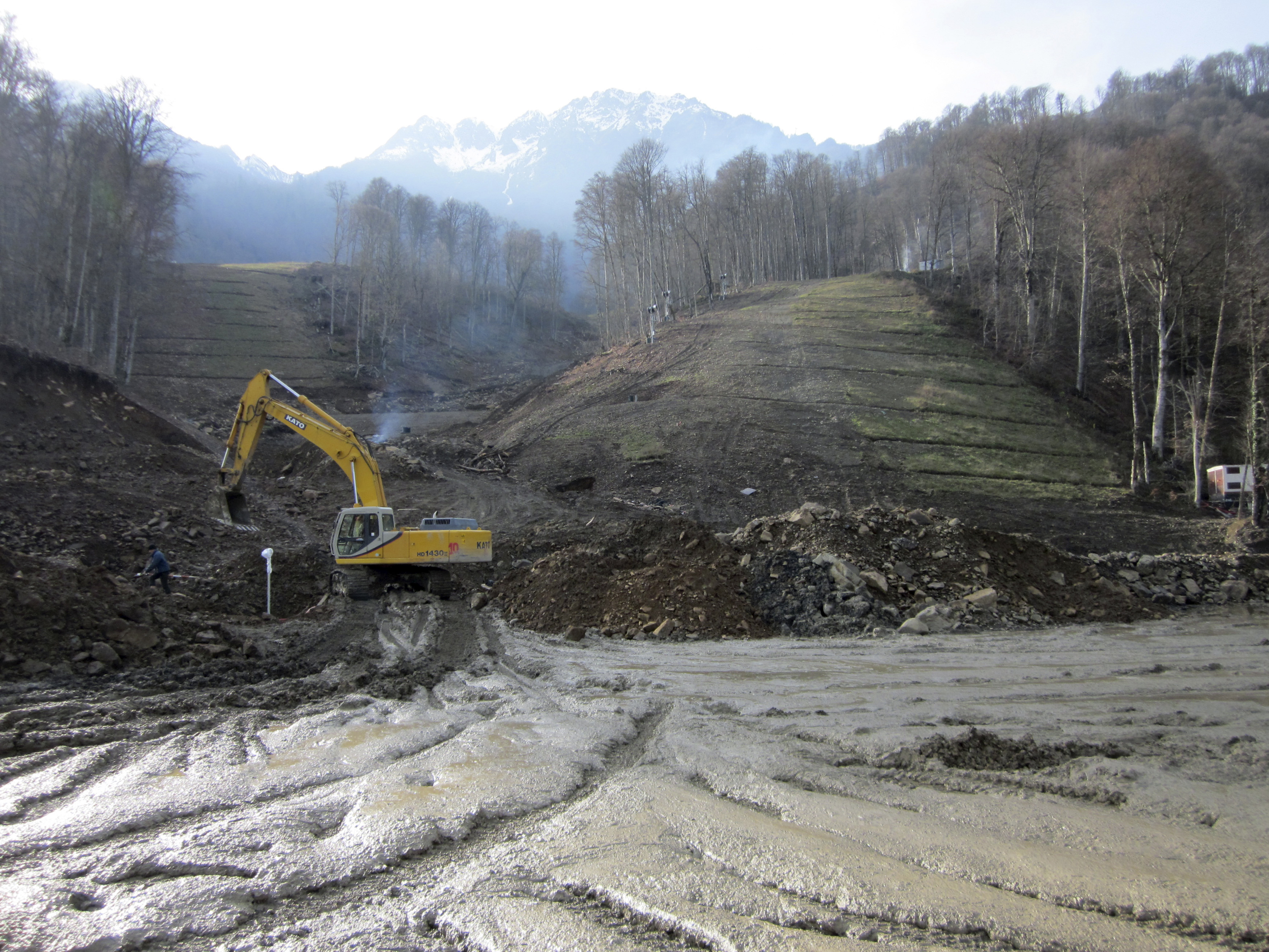 Construction for the Olympic Games has led to the destruction of forests in Sochi.