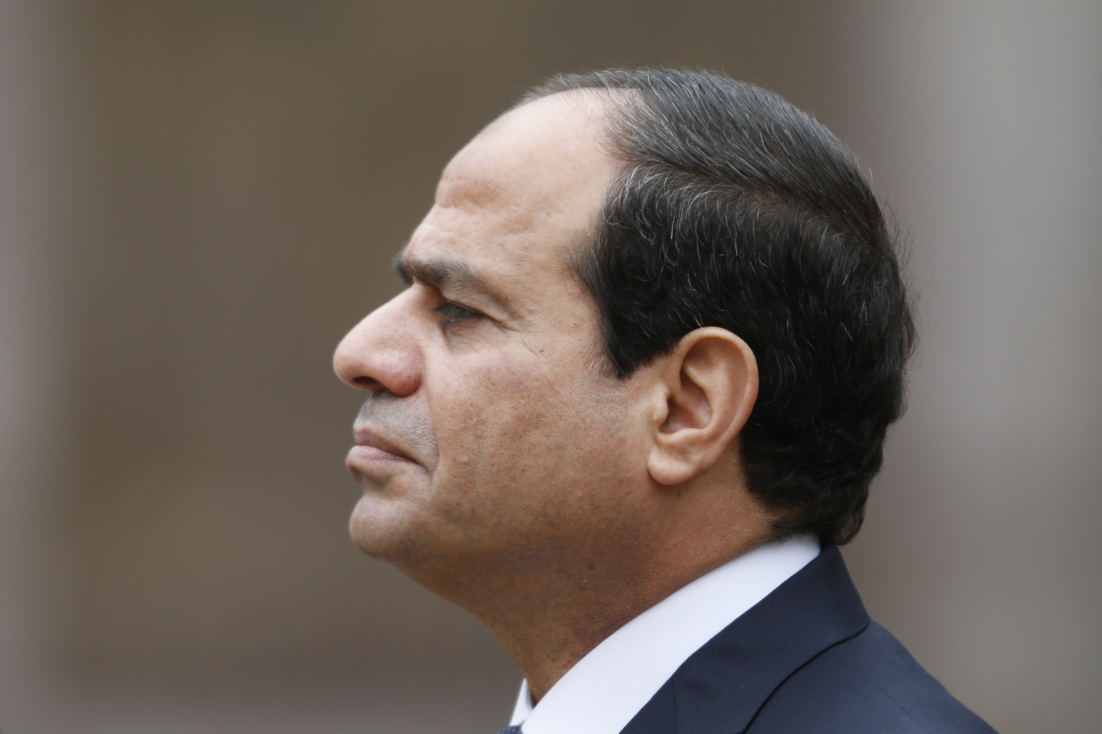Egyptian President  Abdel Fatah Al-Sisi, REUTERS/Charles Platiau