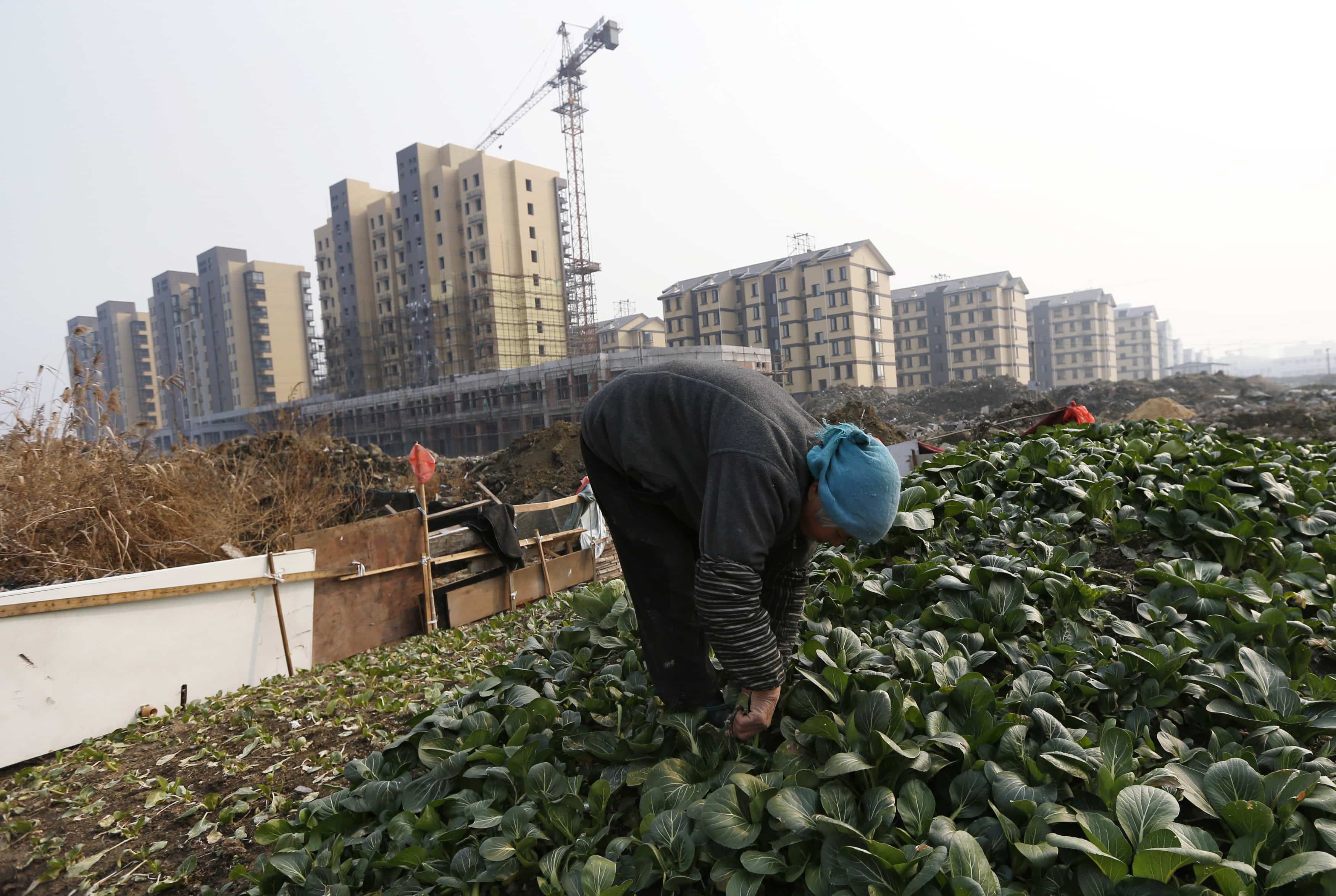 A woman picks vegetables near a residential compound under construction in Zhejiang province, China, 17 January 2014, REUTERS/William Hong