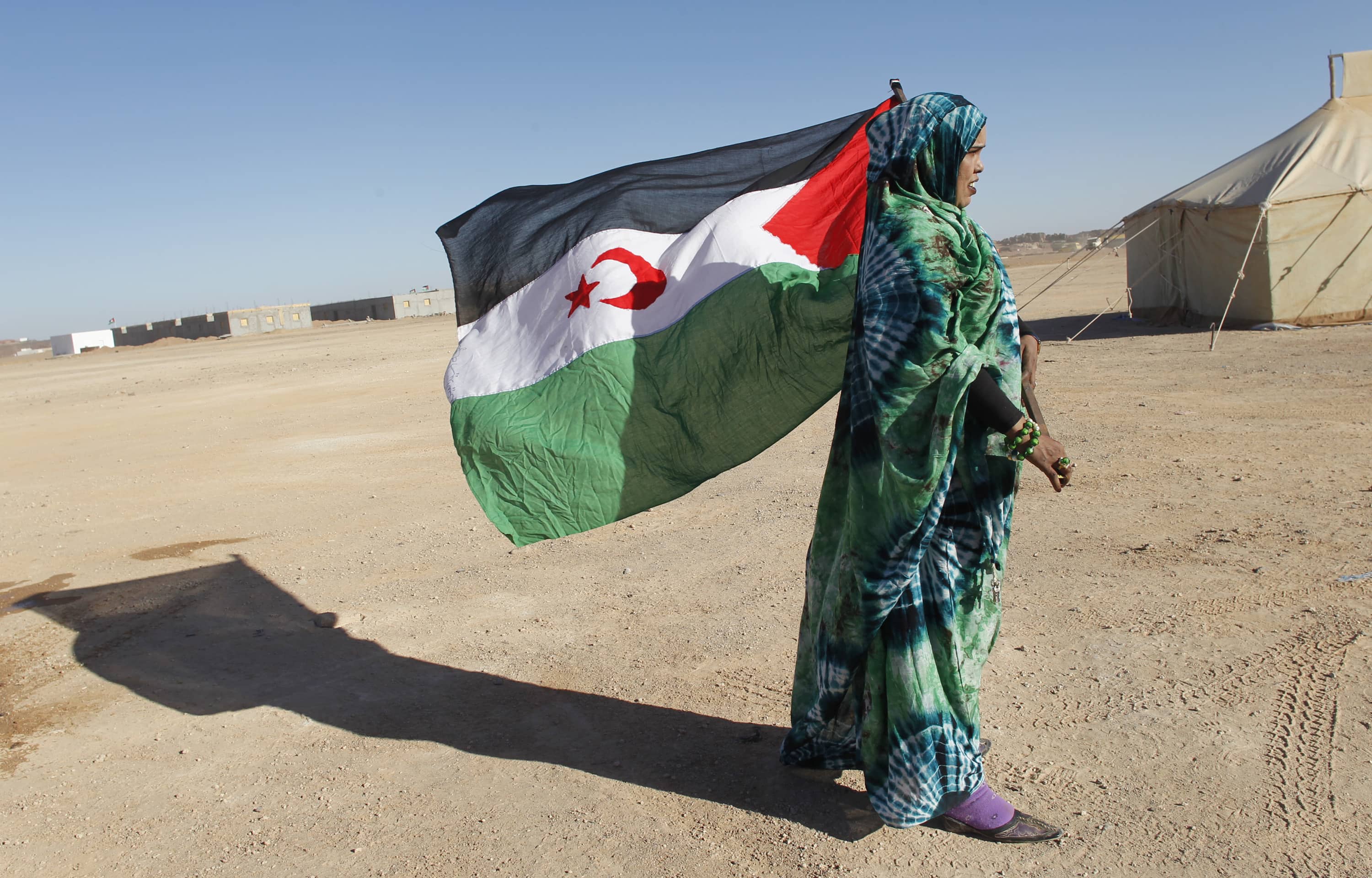 A Sahrawi woman is pictured in this 27 February 2011 photo holding her national flag in celebration of the independence movement for Western Sahara, REUTERS/Juan Medina