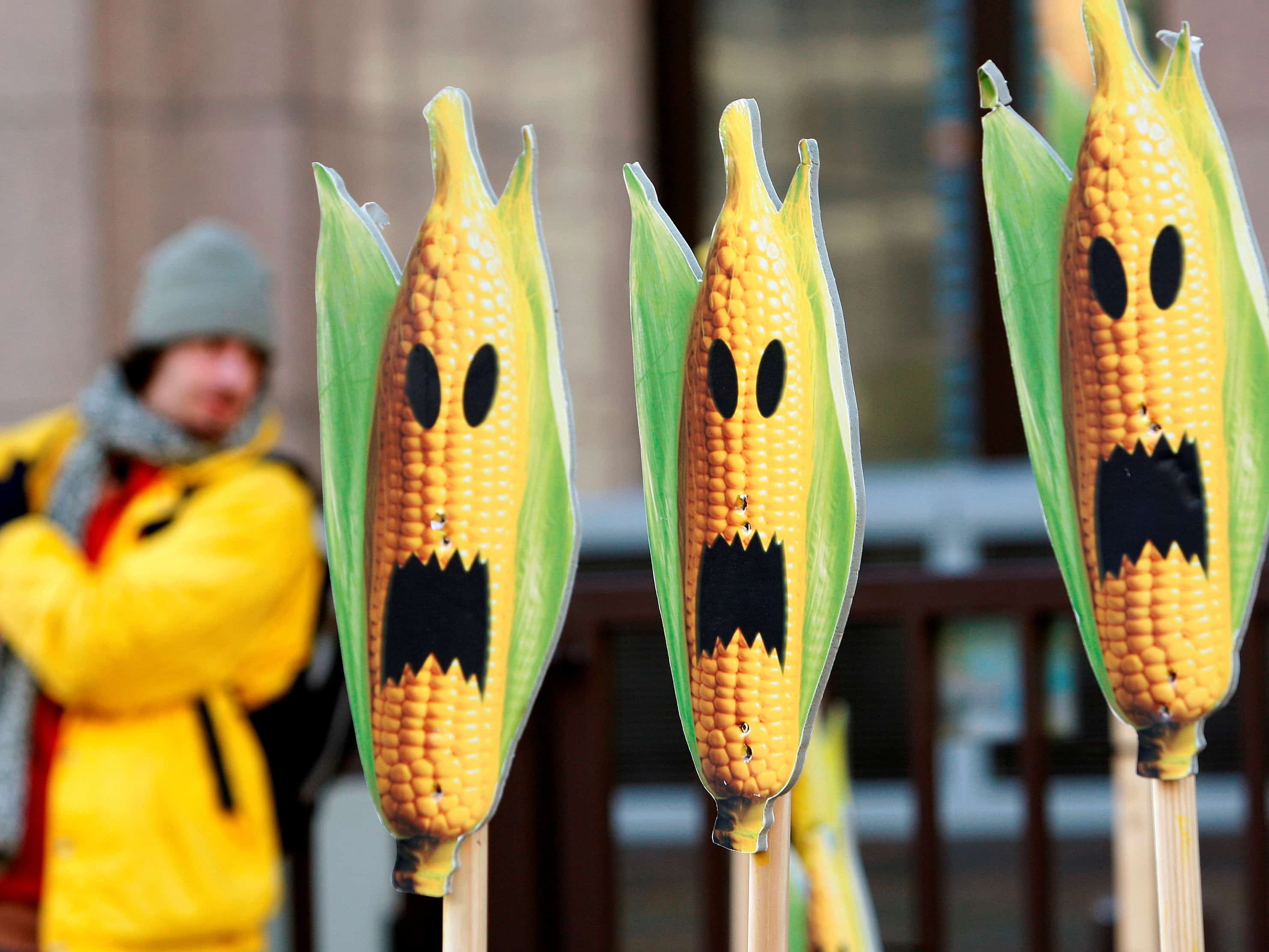 Evidence-based concerns about the effects of genetically modified foods are being stifled by a powerful biotech industry., Thierry Roge/REUTERS