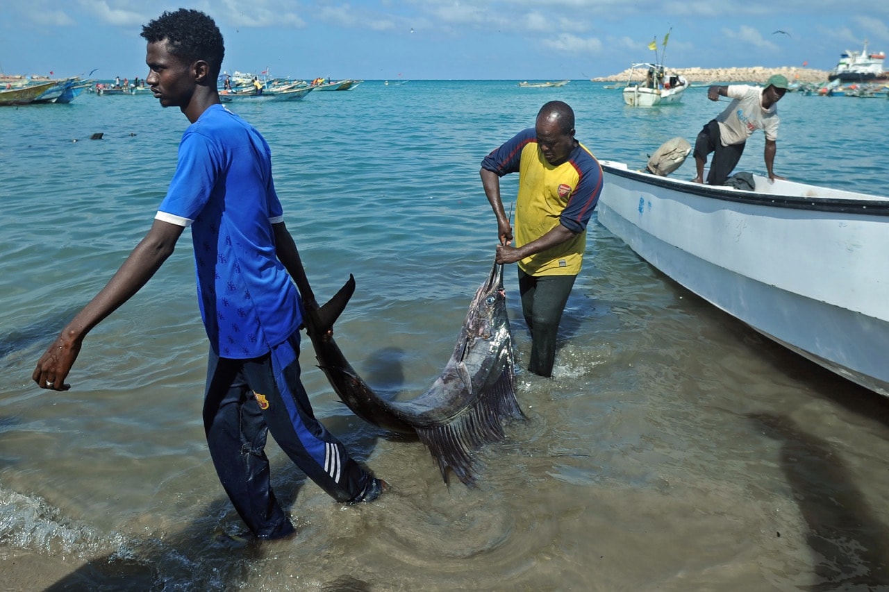 Vendors offload a catch from fishing boats at Bosaso beach in Puntland, northeastern Somalia, 17 December 2016, MOHAMED ABDIWAHAB/AFP/Getty Images
