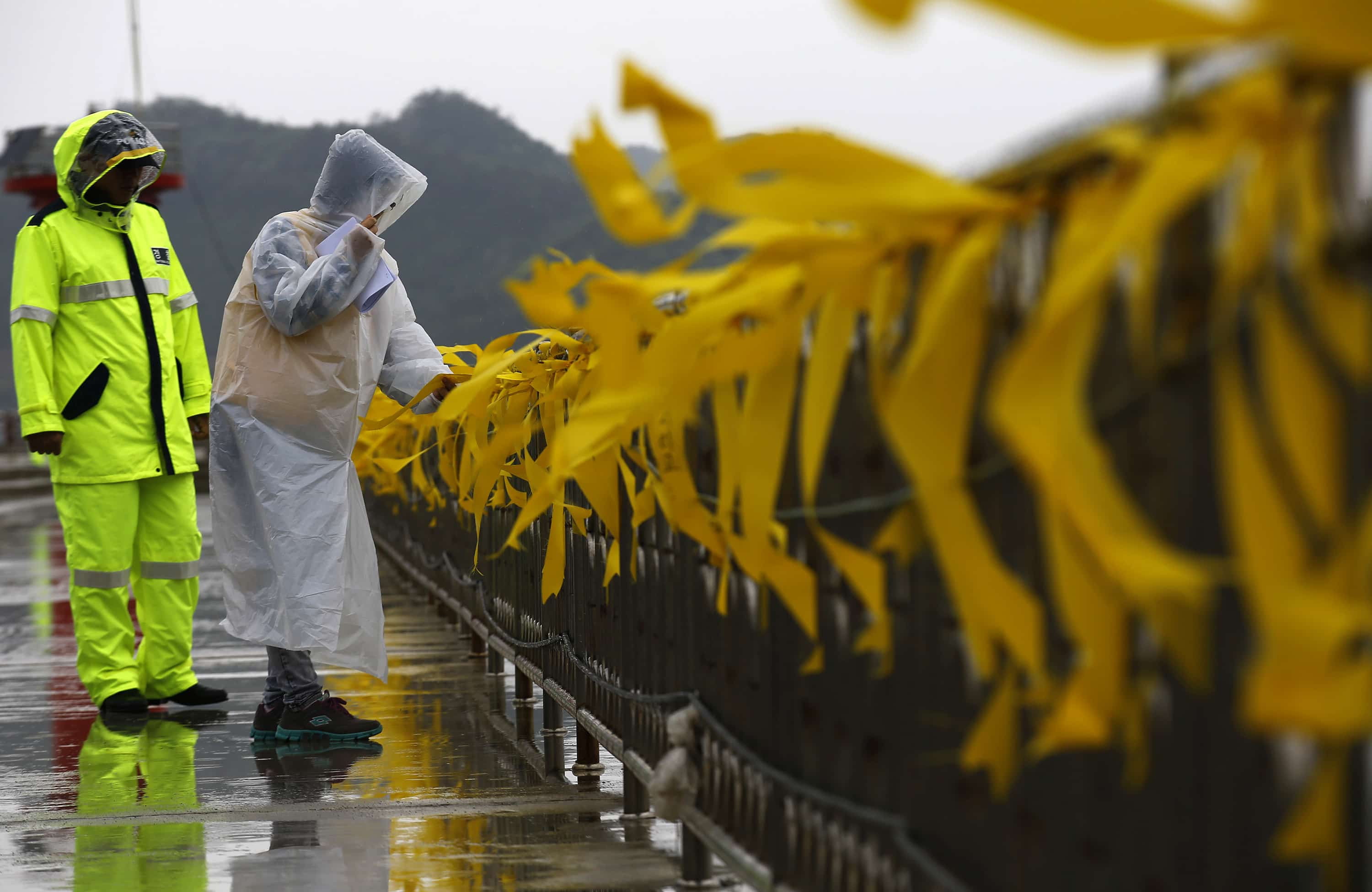 A volunteer, assisting family members of missing passengers onboard the capsized Sewol ferry, looks at yellow ribbons dedicated to victims of the disaster in Jindo, 27 April 2014, REUTERS/Kim Kyung-Hoon