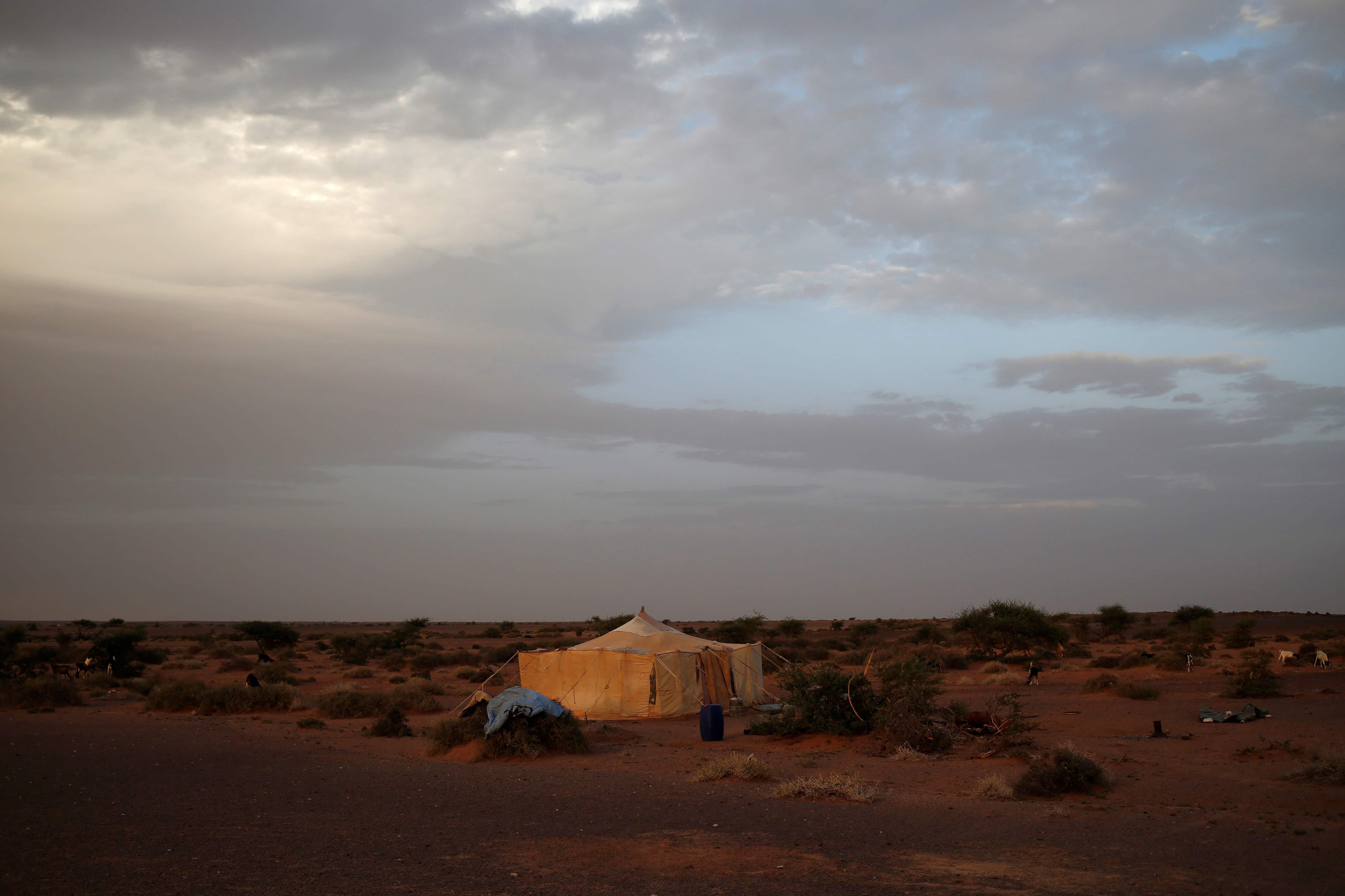A tent belonging to an indigenous Sahrawi family stands in Tifariti, Western Sahara, September 8, 2016.,  REUTERS/Zohra Bensemra