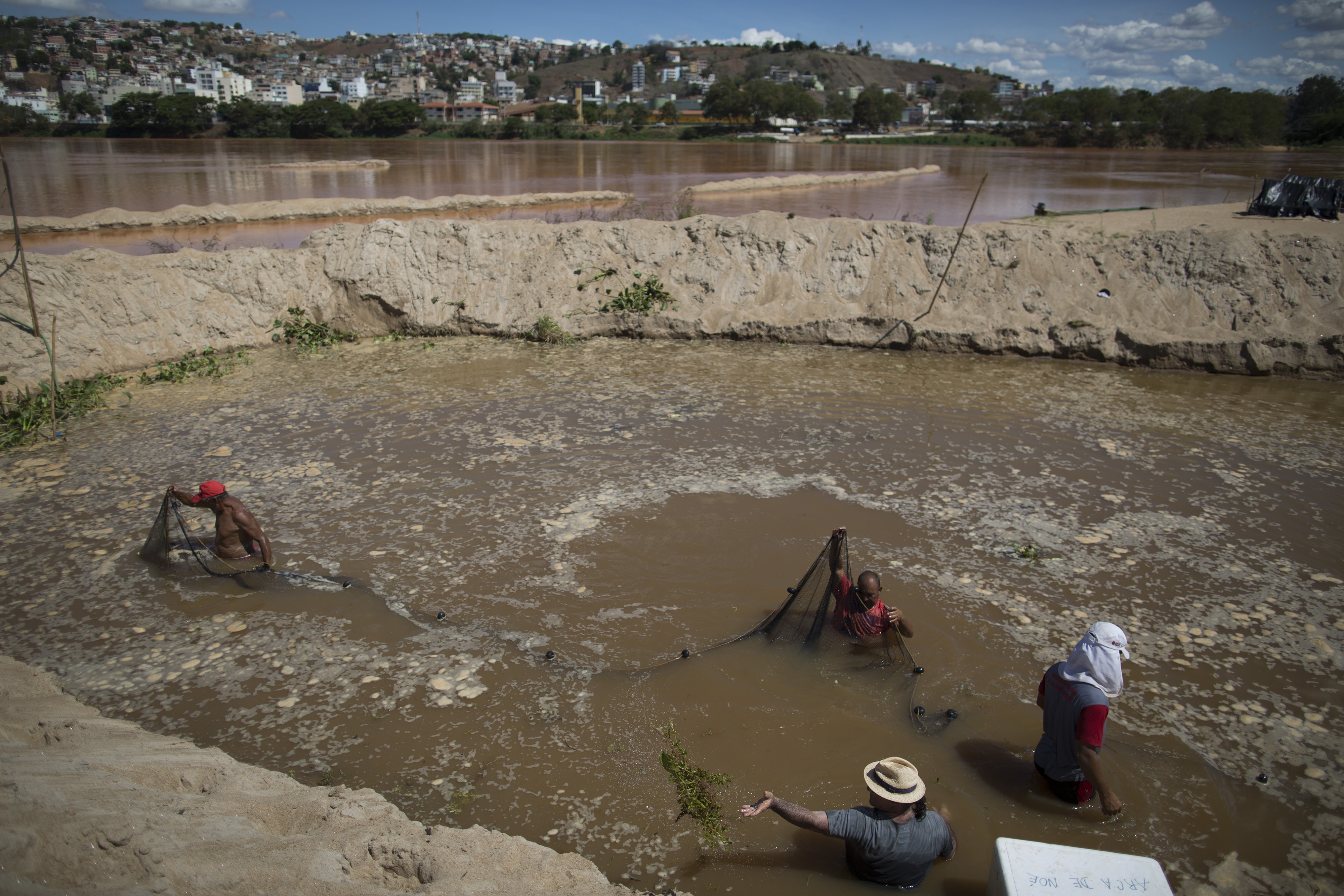 Fishermen use a net in a temporary pool they built to protect some of the creatures that inhabit the Doce River from polluted waters, AP Photo/Leo Correa