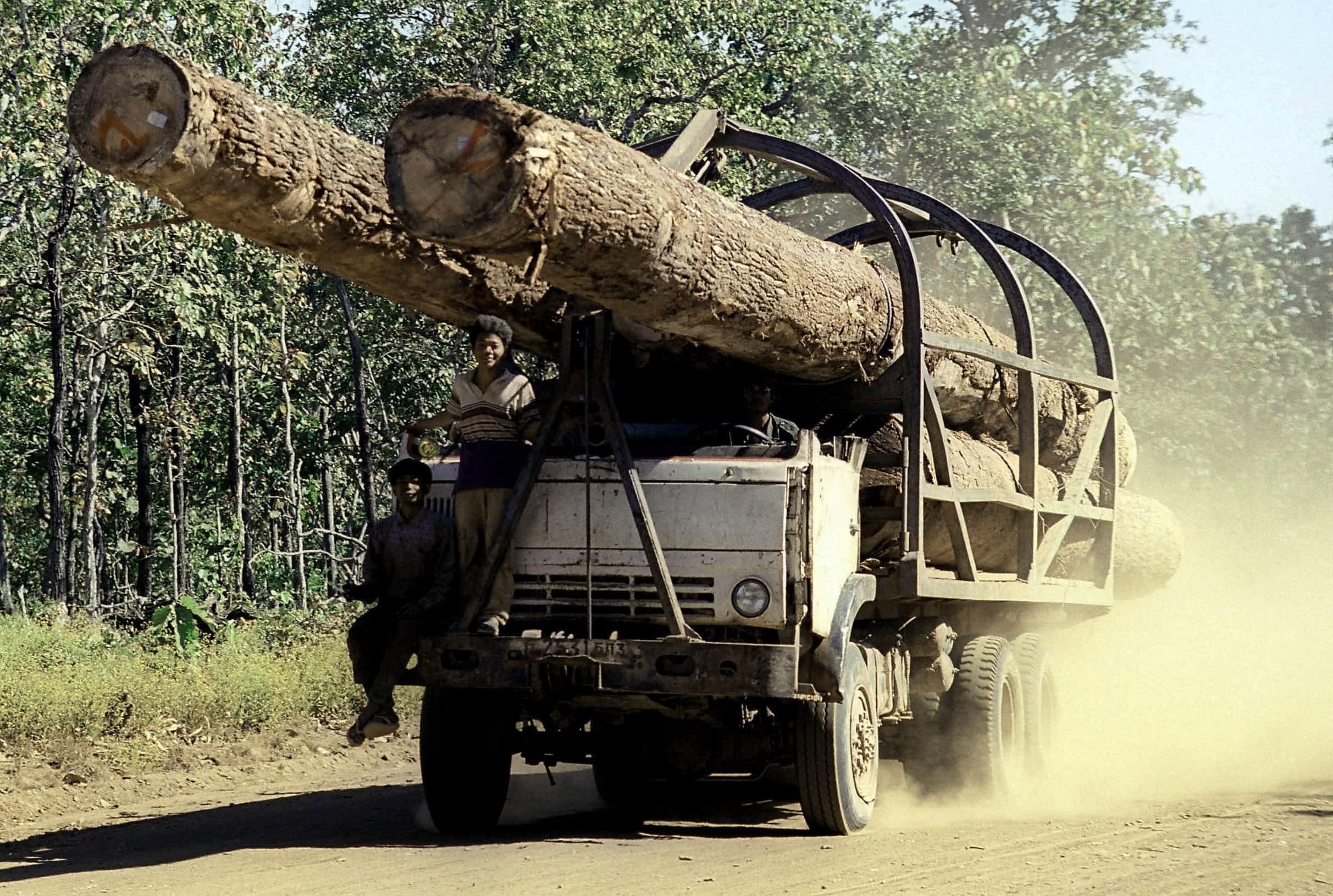 A truck carries logs on a rural road in Preah Vihear province, AP Photo /Heng Sinith