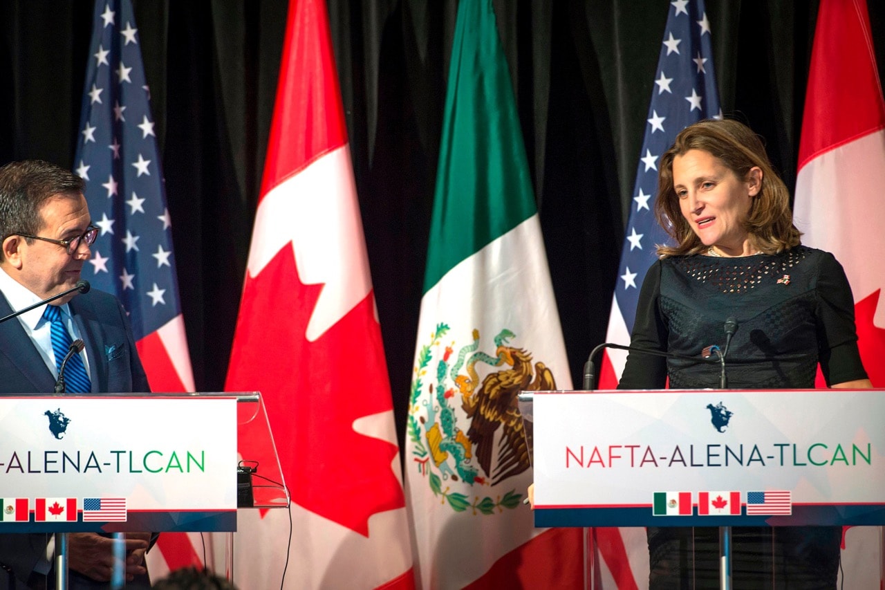 Mexico's Minister of Economy Ildefonso Guajardo (L) looks on as Canadian Foreign Affairs minister Chrystia Freeland speaks to the press at the closing of the NAFTA meetings in Montreal, Quebec, 29 January 2018, PETER MCCABE/AFP/Getty Images