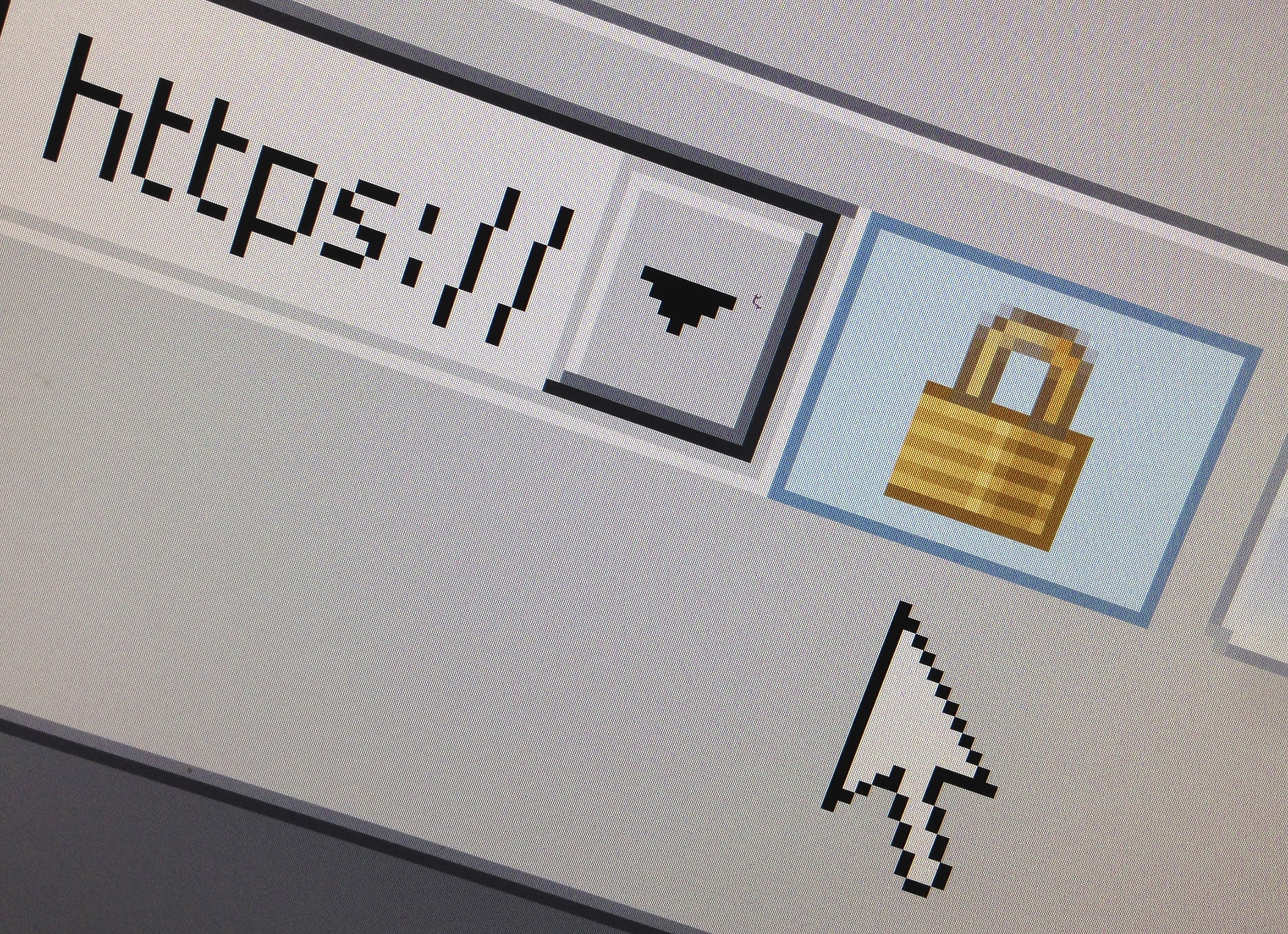 A lock icon, signifying an encrypted Internet connection, is seen on an Internet Explorer browser in Paris, 15 April 2014, REUTERS/Mal Langsdon