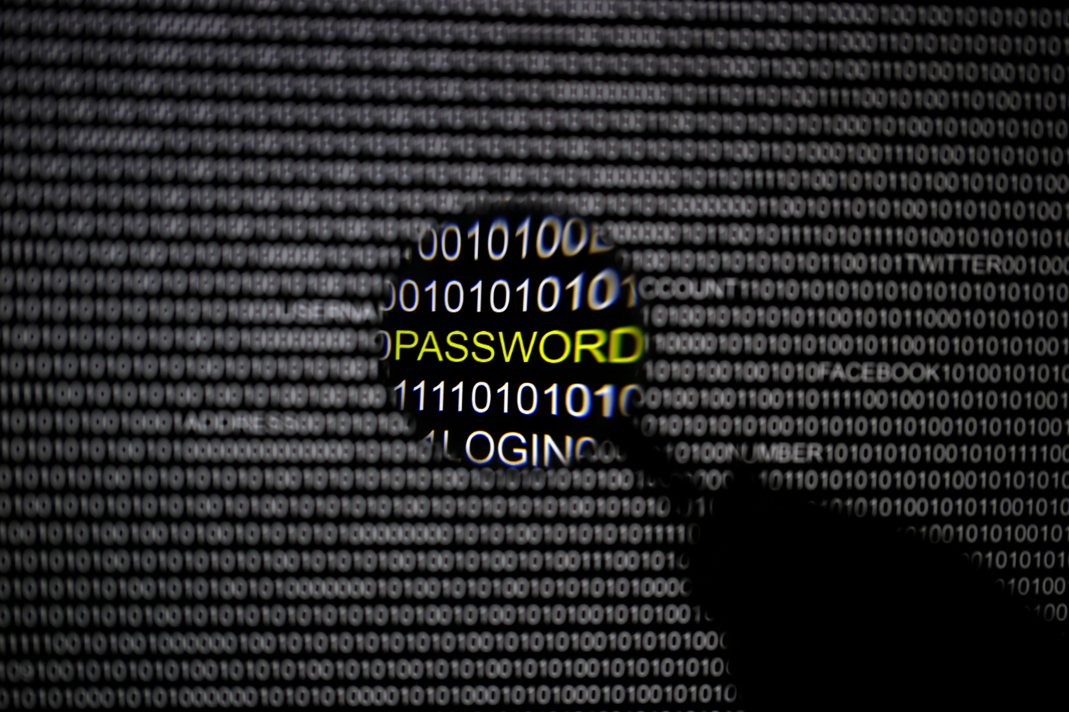 A magnifying glass is held in front of a computer screen in this picture illustration taken in Berlin, 21 May 2013, REUTERS/Pawel Kopczynski