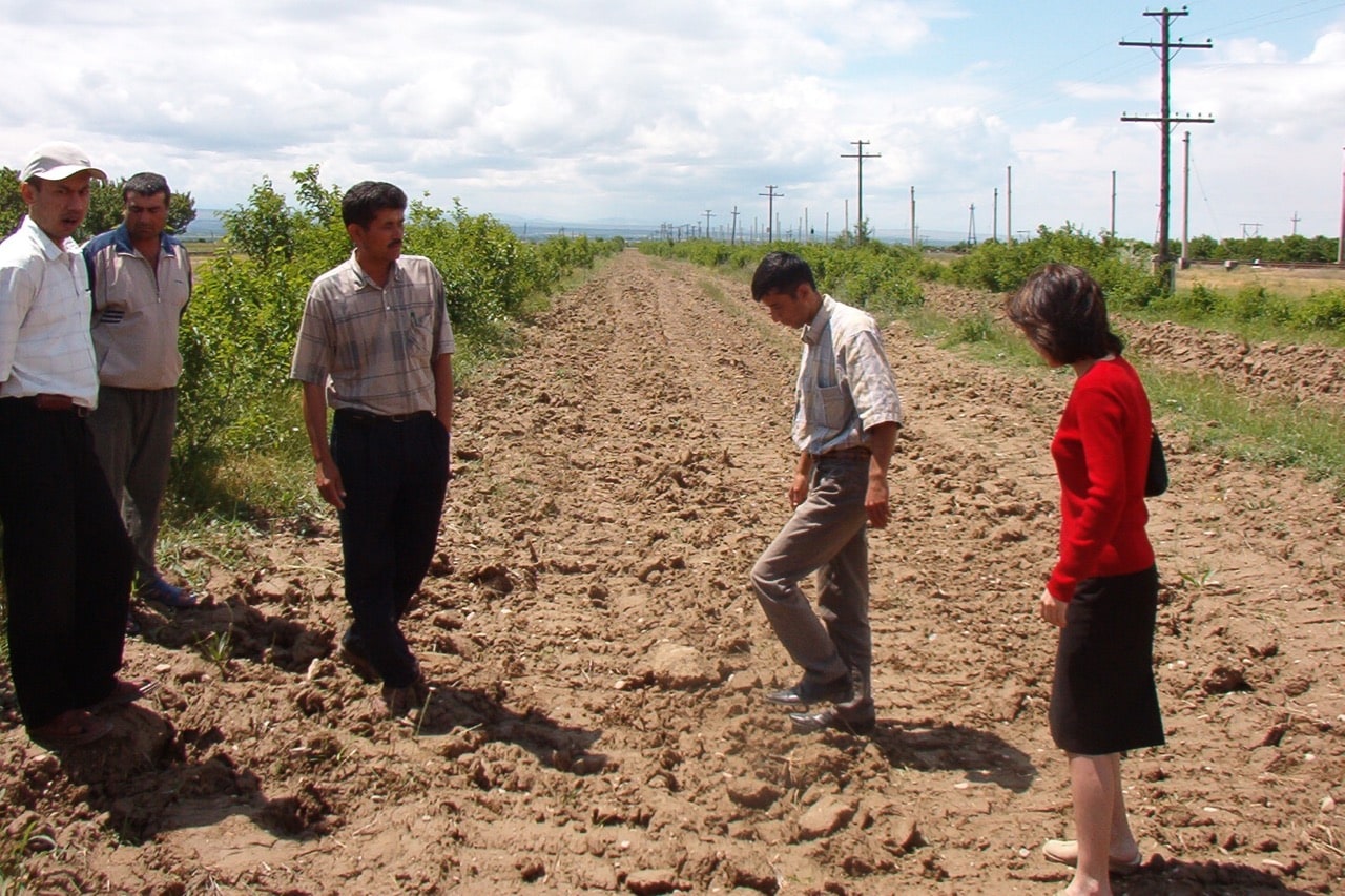 Selection of an agriculture demonstration plot in Sugdh Oblast, Tajikistan, 13 May 2005, Flickr/IFDC Photography, (CC BY-NC-SA 2.0)