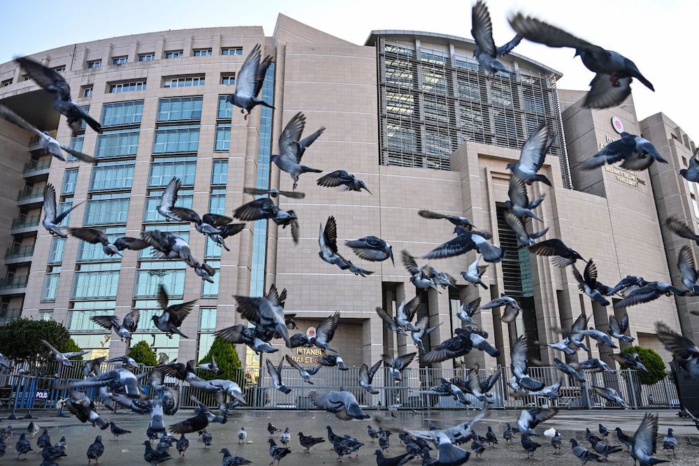 Pigeons flying outside the courthouse in Istanbul, Turkey, 11 December 2019, OZAN KOSE/AFP via Getty Images