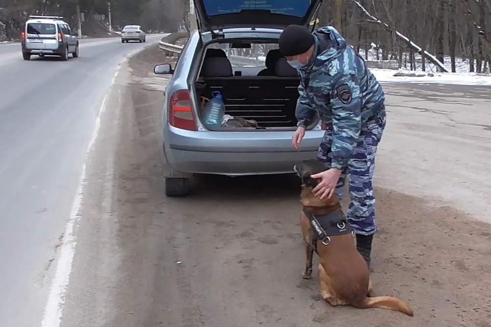 Crimea, 16 March 2021. A law enforcement officer with a service dog searches the car of Vladislav Yesypenko, allegedly detained on suspicion of spying for Ukraine. Still image taken from video provided by a third party. Russian Federal Security Service/TASS via Getty Images