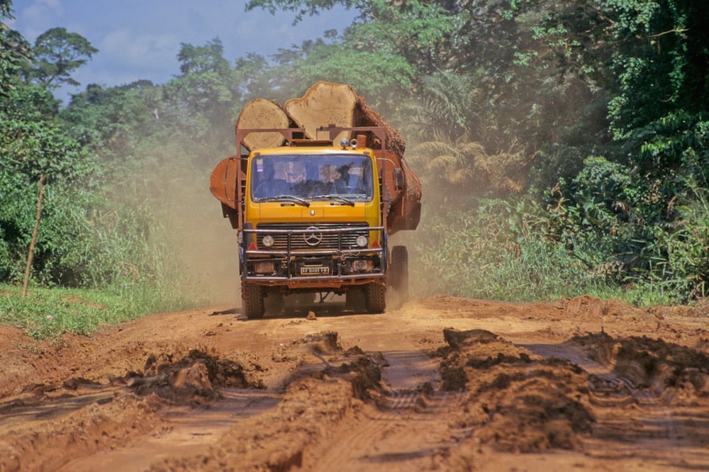 A logging truck transporting timber to the coast, SE Cameroon, 17 June 2008, Avalon/Universal Images Group via Getty Images